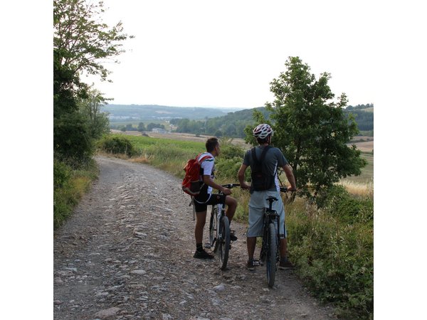 Small Group E-Bike Chianti Tour with farm lunch from Siena