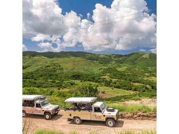 Island Safari 4x4 Discovery Tour from St John's