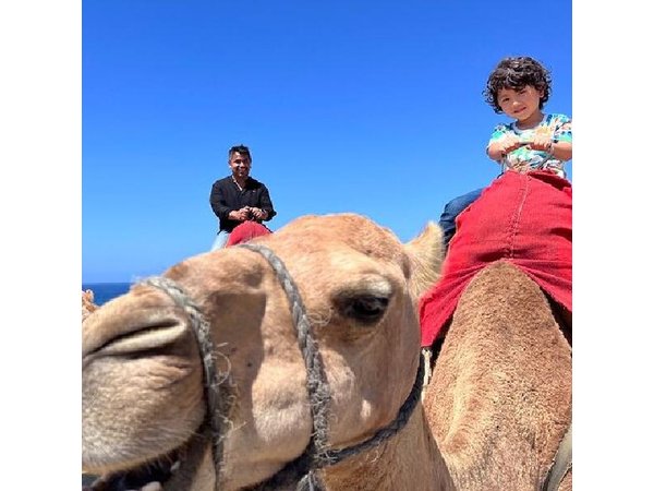 Tangier All-In Tour from Ferry or cruise: Souks, Lunch & Camel
