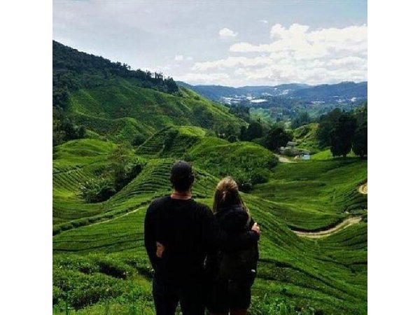 Cameron Highlands Day Trip from Ipoh with Lunch & Mossy Forest