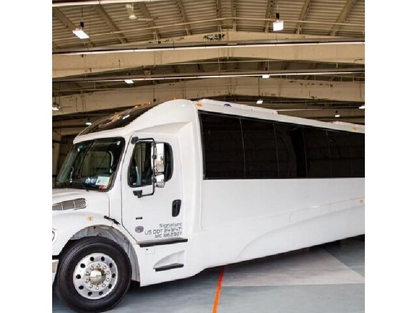 Luxury Minibus Chicago City Tour