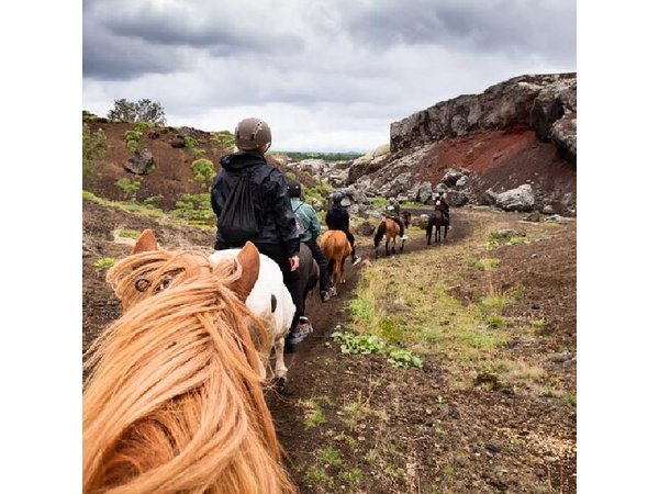 Red Lava Horse Riding Tour From Reykjavik