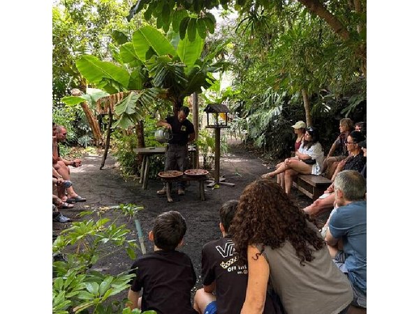 Eco Friendly Banana Cultivation Tour in La Palma