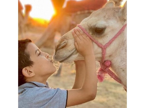 From Marrakech Moroccan Breakfast and camel ride in Agafay Desert