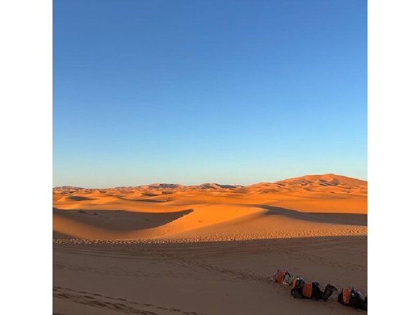 4-Days Desert Tour From Marrakech To Fes Via Merzouga