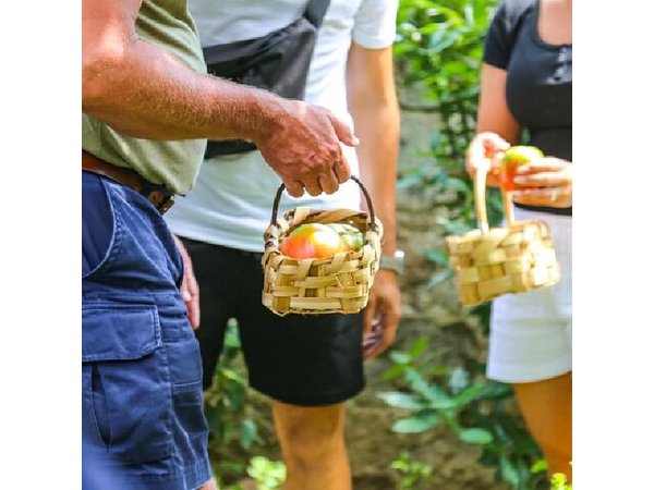 Sorrento: Hands-On Pasta, Tiramisu & Limoncello Fun Class