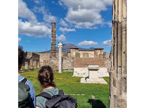 Pompeii Ruins Tour with Local Wine & Light Lunch from Naples