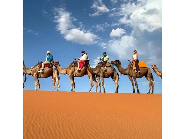2 Days 1 Night Sahara Desert Tour from Fes To Fes Or Marrakech
