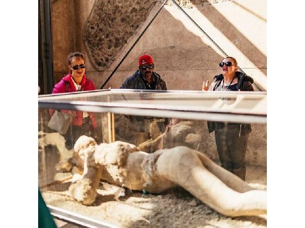 Naples: Pompeii & Herculaneum Day Trip – Small Group Tour