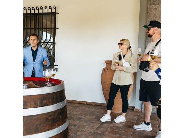 Vesuvius Wine Tasting & Lunch: Vineyard Tour from Naples
