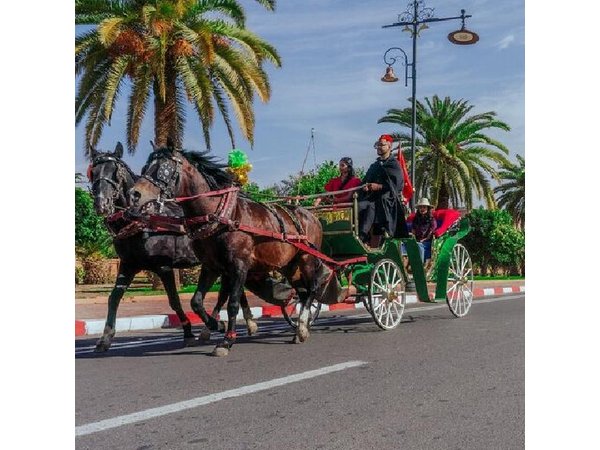 Carriage Rides Through Marrakech