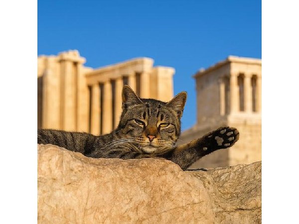 Athens: Acropolis Premium Guided Tour with Skip-The-Line Tickets