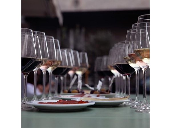 Zadar: NEW Dalmatian Wine Tasting & Tapas Experience