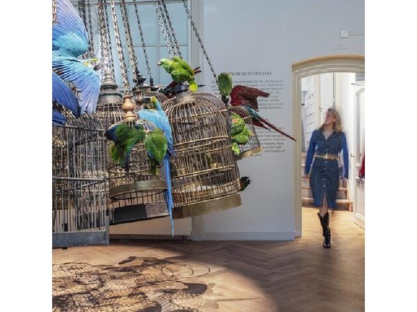 Art Zoo Museum Amsterdam Tickets