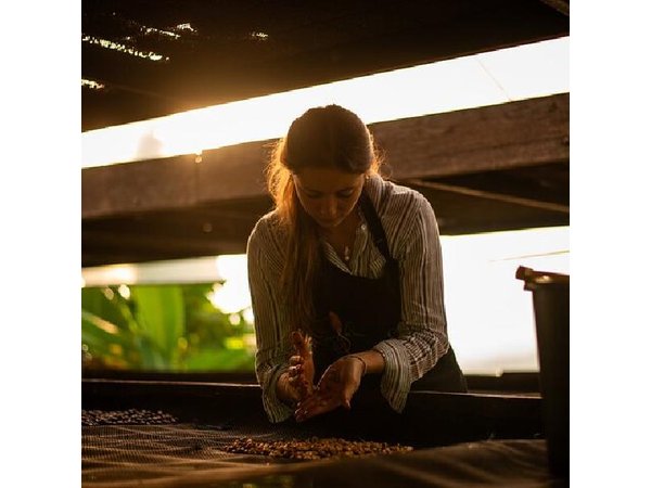 Coffee Tour from Bogota at La Palma Plantation and El Tucan