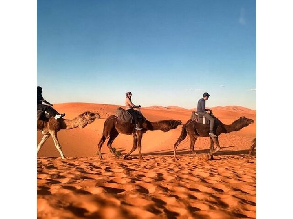 3 Days Desert Tour from Fez to Marrakech