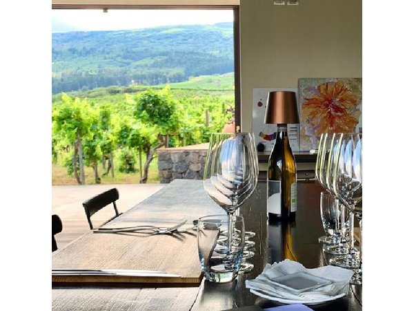 WINE TOUR and SELINUNTE - Private Tour starts from Palermo