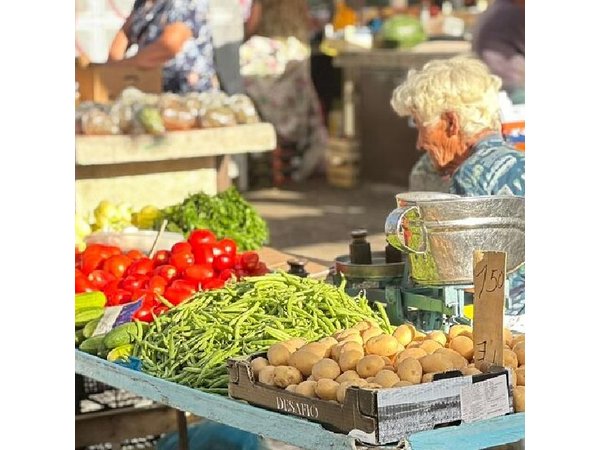 Food, walks & talks - The highlights of Split