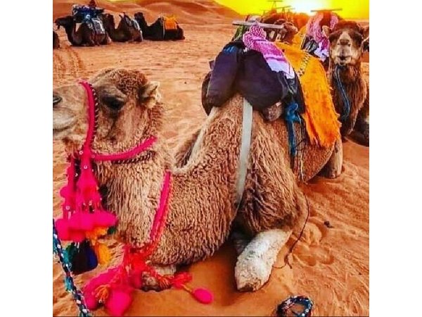 3 Day Marrakech to Merzouga Desert Tour