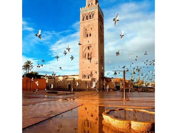 Marrakech EN Private 4h & Entrances Included and Driver Polyglot