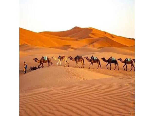 Merzouga Desert Tour from Marrakech Sahara Camel Ride & CamP