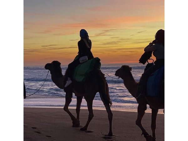Sunset Camel Ride in Tangier with Cap Spartel & Hercules Caves