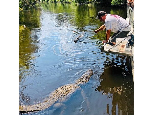 Swamp Boat Ride and Whitney Plantation Tour from New Orleans