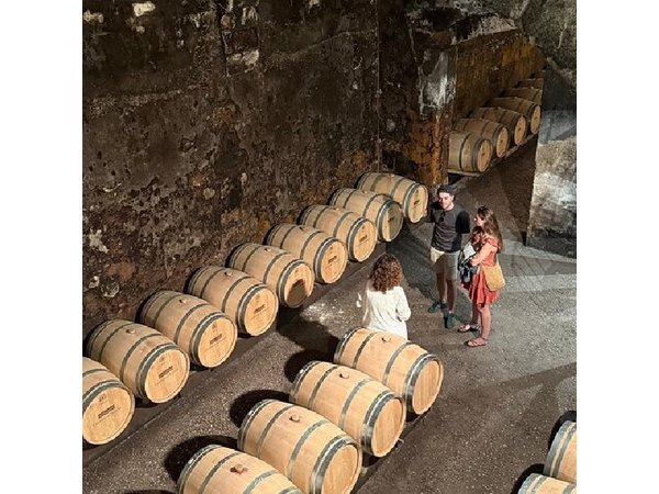 Bordeaux: Wine Tour and Tasting