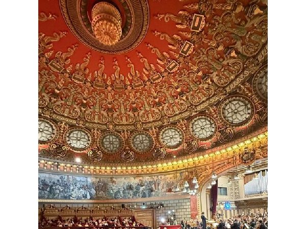 Walking Tour and Dinner with a local in Bucharest