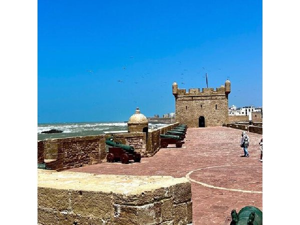 Marrakech Private Day Trip to Essaouira