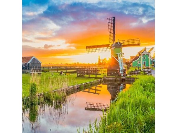 Volendam, Zaanse Schans, Marken & Edam from Amsterdam