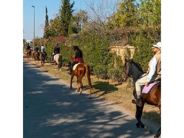 Horseback Ride in Marrakech Palmeraie with Mint Tea