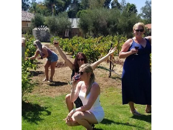 Chauffeured Adventure to Local San Diego Vineyards