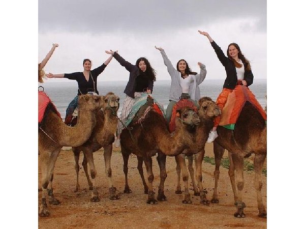 Best of Tangier 4-Hour Private Tour with Camel Ride