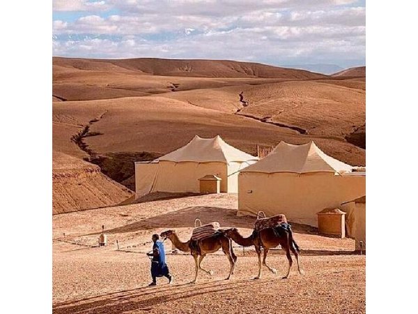 Marrakech: Agafay Desert Quad biking tour with dinner Show