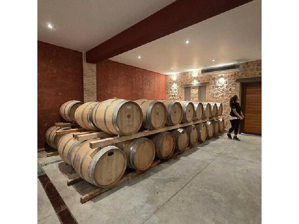 Nemea Wine Tasting & Nafplio Full-Day Private Tour from Athens