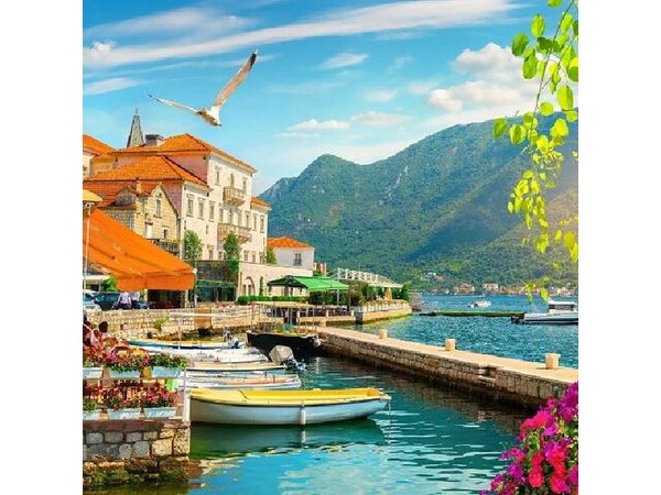 Deluxe Cruise-Friendly Tour in Dubrovnik