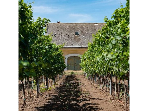 ETYEK wine trip - Just a stone’s throw away from Budapest