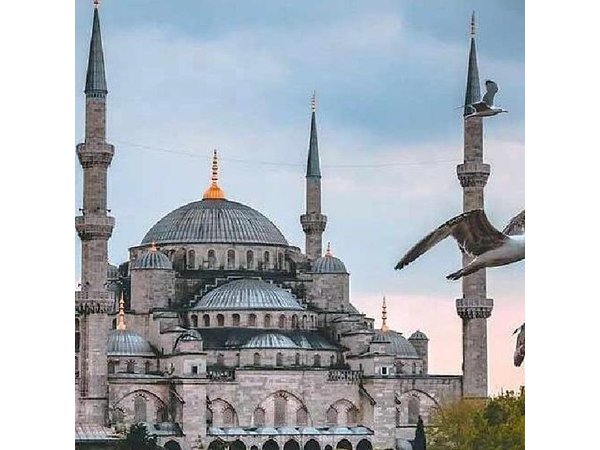 ISTANBUL BEST: Iconic Landmarks Full Day PRIVATE Guided City Tour