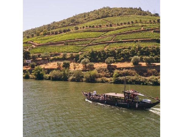 Private Douro Valley Tour - 2 Wineries & 1 Hour River Cruise
