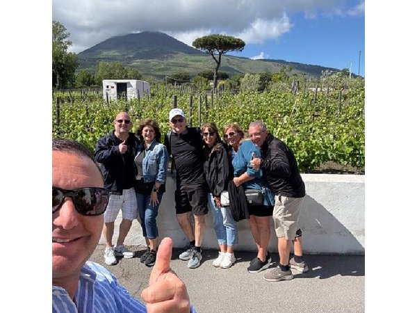 Pompeii-Wine tasting tour from Sorrento, licensed guide included