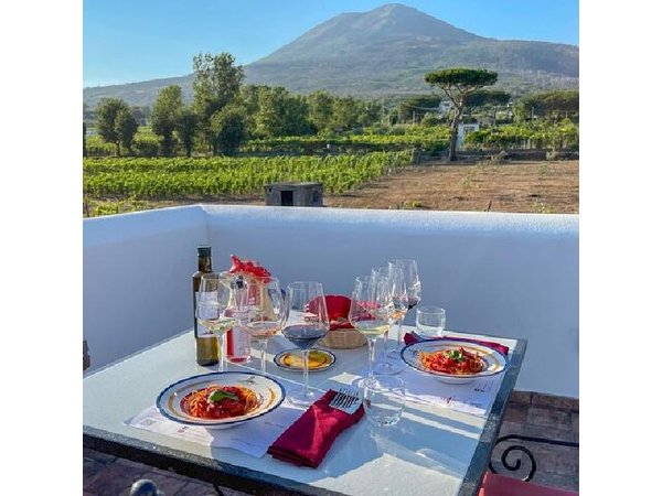 Herculaneum-Wine tour from Sorrento, with licensed guide included