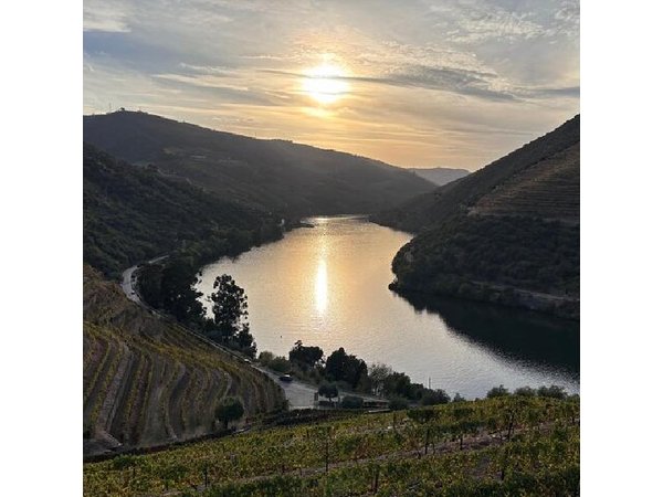 Douro Valley private wine tour | tastings and lunch included