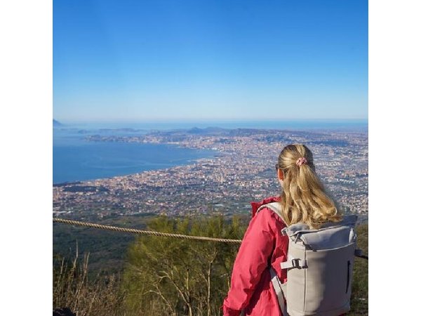 Skip the line Pompeii and Vesuvius full day tour from Sorrento