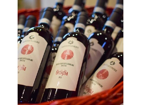 Private Montepulciano & Pienza Day Trip from Florence
