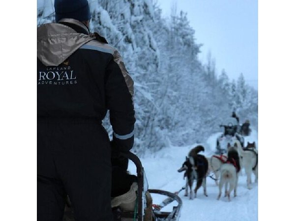 Rovaniemi Lapland Husky Experience 5km