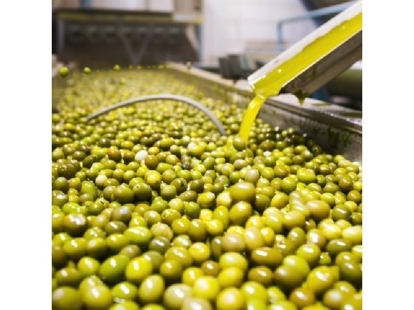 Corinth & Olive Oil Tasting Private Tour from Athens