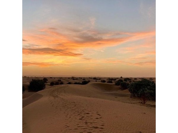 4 Day Desert Adventure from Fes to Marrakech