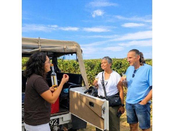 Winery, Tastings & 4x4 Vineyards Tour, Half Day Trip from Lisbon