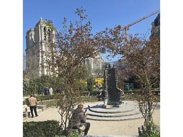 Notre-Dame de Paris after restoration